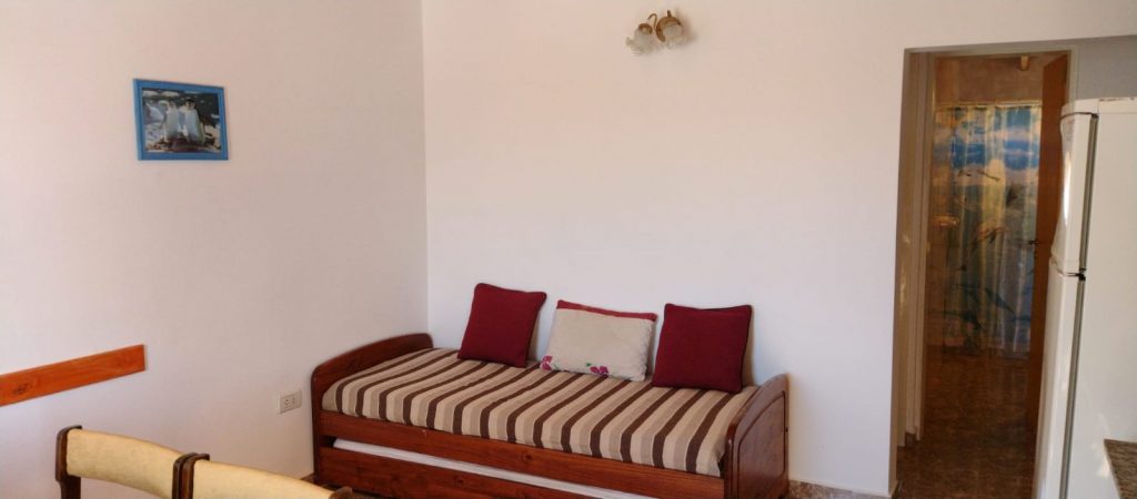 WhatsApp Image 2022-10-19 at 18.30.28 (1)