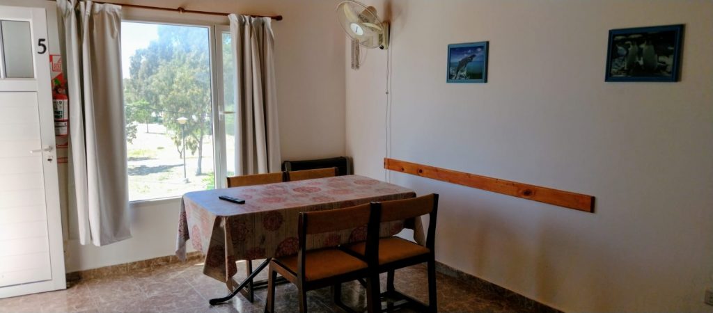 WhatsApp Image 2022-10-19 at 18.30.28