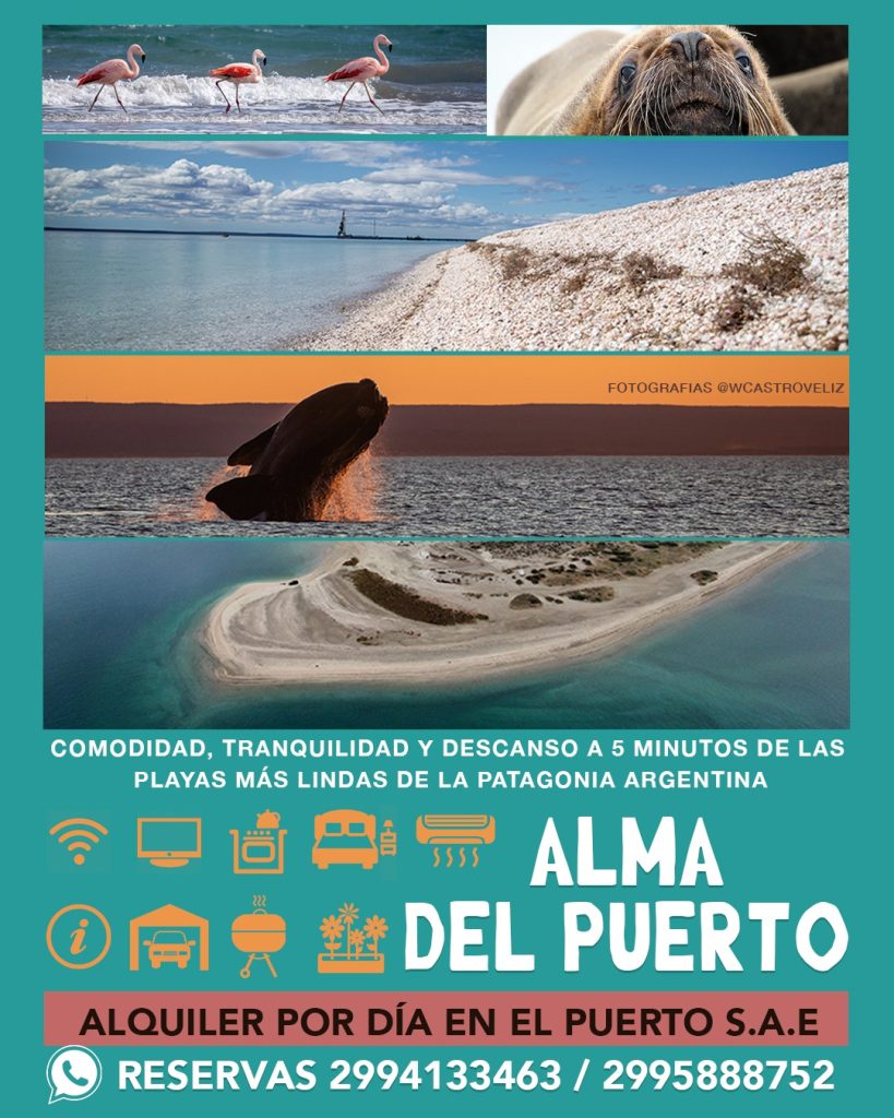 WhatsApp Image 2024-11-07 at 09.38.01