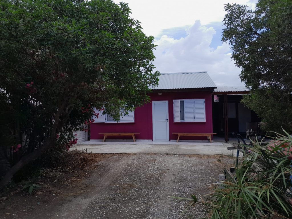 WhatsApp Image 2026-01-23 at 13.20.37